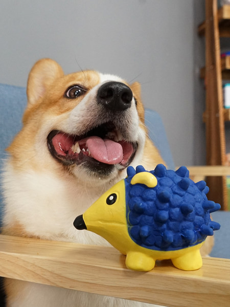 Lopta od lateksa za igranje kućnih ljubimaca