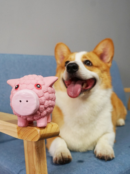 Lopta od lateksa za igranje kućnih ljubimaca