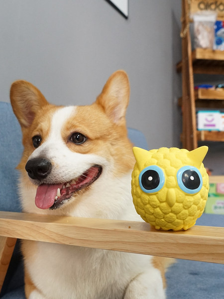 Lopta od lateksa za igranje kućnih ljubimaca