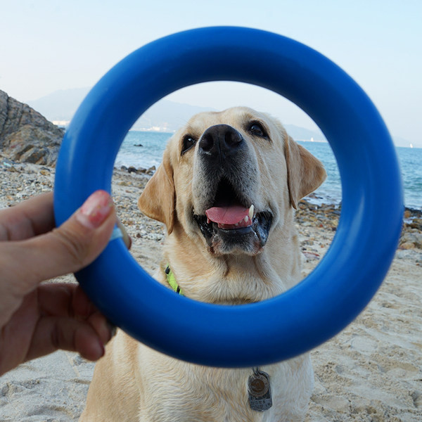 Gumeni prsten za igru psa
