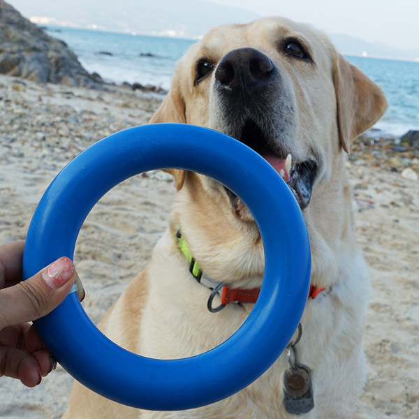 Gumeni prsten za igru psa