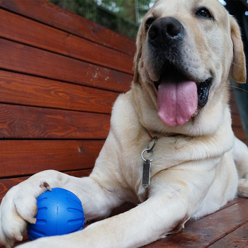 Λαστιχένια μπάλα για σκύλους