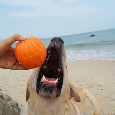 Gumijas bumba suņiem