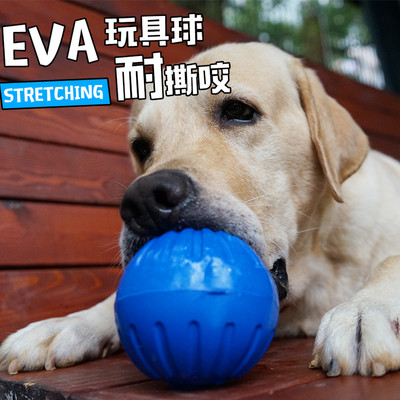 Gumijas bumba suņiem