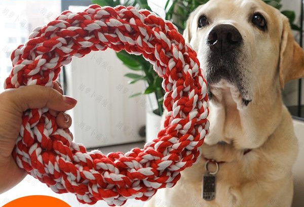 Funie rezistenta pentru joaca cu animale de companie