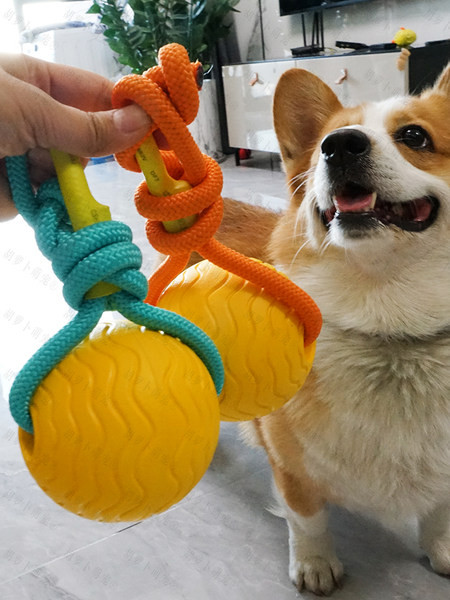 Παιχνίδι για κατοικίδια ανθεκτικό στα δαγκώματα