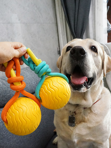 Παιχνίδι για κατοικίδια ανθεκτικό στα δαγκώματα