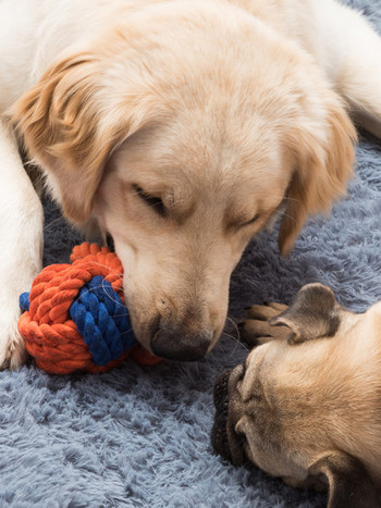 Σχοινί παιχνιδιών για σκύλους - δύο χρώματα