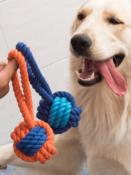 Koera mänguasja köis - kaks värvi