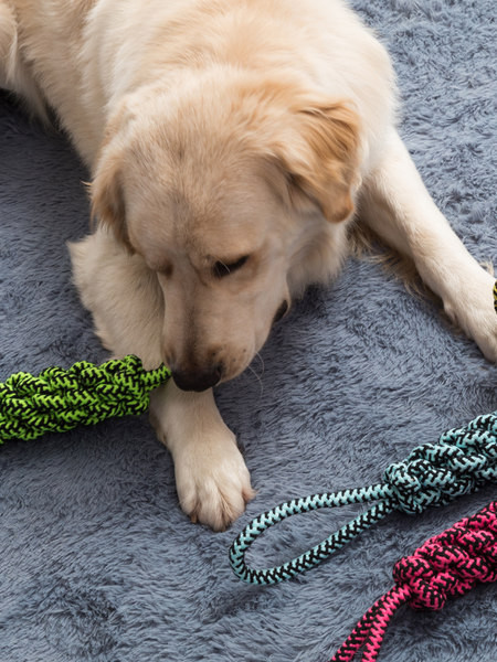 Jucărie pentru câini - frânghie