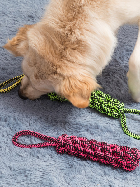 Jucărie pentru câini - frânghie