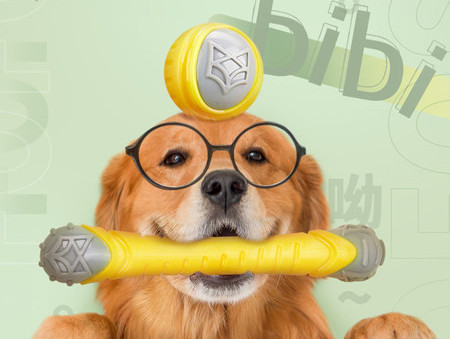 Zvučna igračka za psa - dva modela