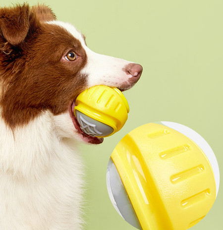 Zvučna igračka za psa - dva modela