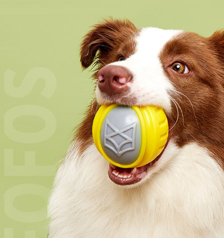 Zvučna igračka za psa - dva modela