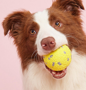 Μπάλα παιχνιδιών για σκύλους