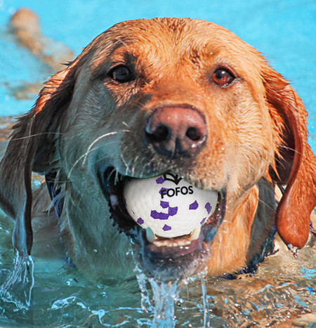 Μπάλα παιχνιδιών για σκύλους