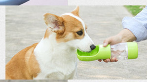 Dozator portabil tip sticla pentru caini