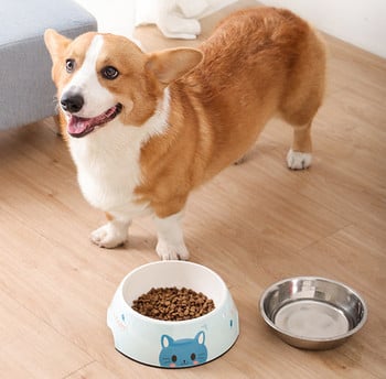 Μεταλλικό μπολ τροφής για σκύλους με εφαρμογές