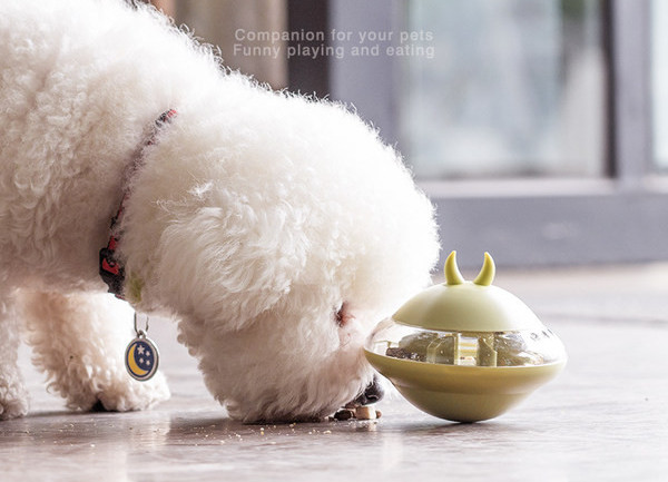 Bol de plastic pentru hrana pentru caini in forma rotunda