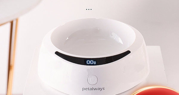 Πλαστικό μπολ για τροφή για σκύλους