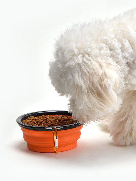 Πτυσσόμενο μπολ σιλικόνης για σκυλοτροφή