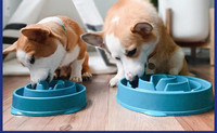 Bol pentru hrana din silicon pentru caini