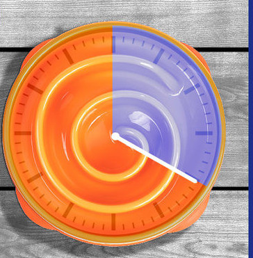 Bol pentru hrana din silicon pentru caini