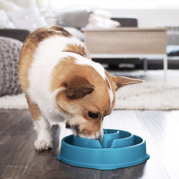 Bol pentru hrana din silicon pentru caini