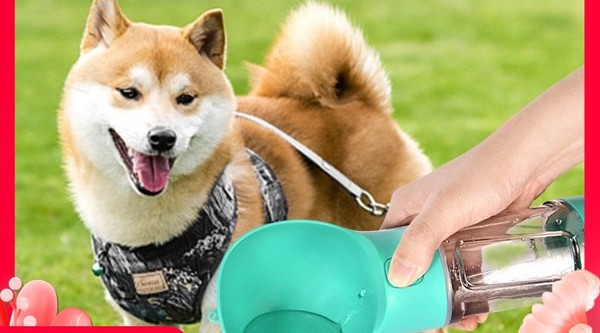 Kombineeritud seadme dosaator vee ja toidu jaoks kõndimiseks ning sahtel kilekottide jaoks