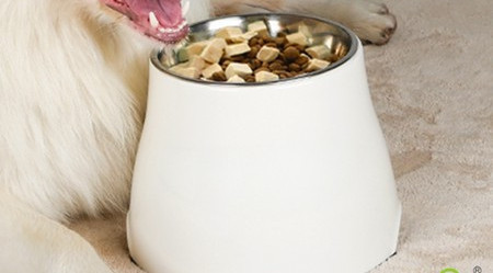 Posuda za pse od nehrđajućeg čelika