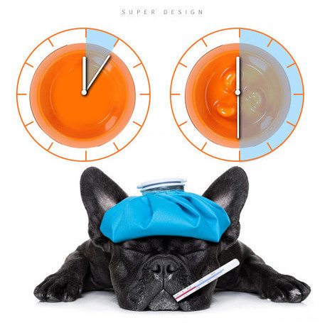 Okrugla plastična posuda za sporo hranjenje