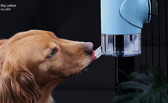 Dozator automat pentru caini de mai multe culori