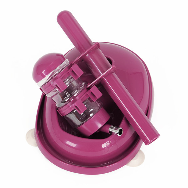 Veeautomaat ja koeratoidukauss