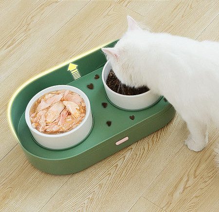 Αντιολισθητικό μπολ για φαγητό και νερό με εσωτερική θήκη