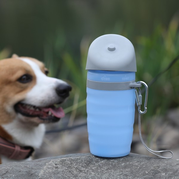 Sticla portabila de apa cu o capacitate de 550 ml si 750 ml