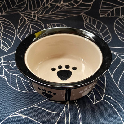 Keraamiline kauss koeratoidu jaoks