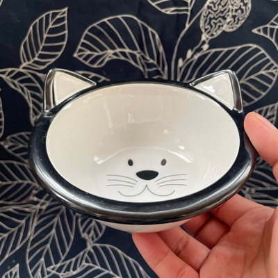 Keraamiline kauss koeratoidu jaoks