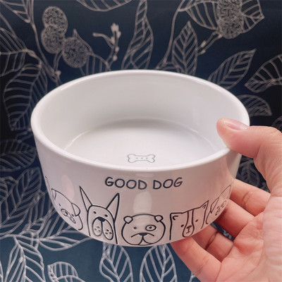 Keraamiline kauss koeratoidu jaoks