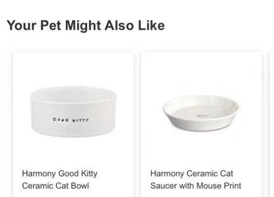 Keraamiline kauss koeratoidu jaoks