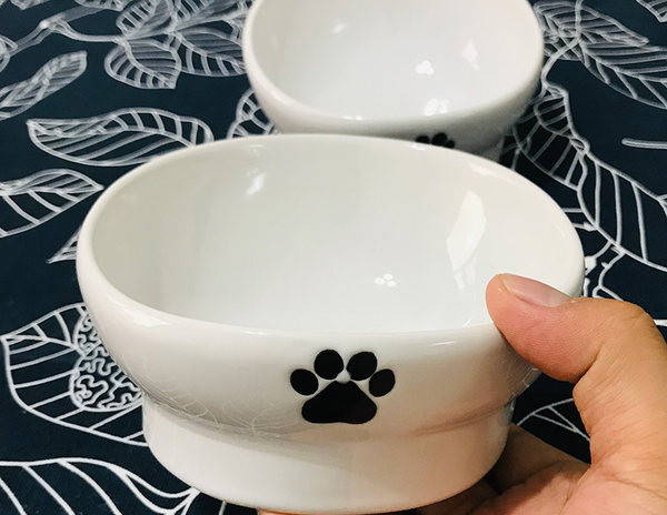Valge keraamiline kauss koeratoidu jaoks