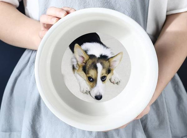 Κεραμικό πιάτο για σκυλοτροφή με αντιολισθητική βάση