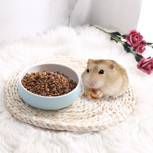 Erinevas suuruses keraamiline kauss lemmikloomadele