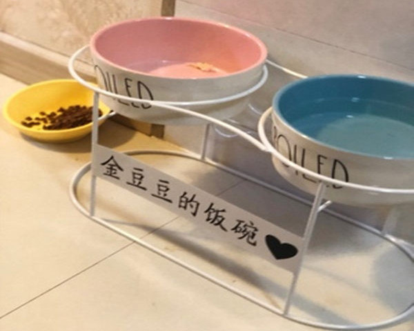 Kahekordne koeratoidukauss – mitu mudelit