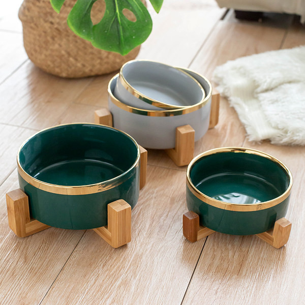 Πολλά μοντέλα κεραμικών μπολ για σκύλους