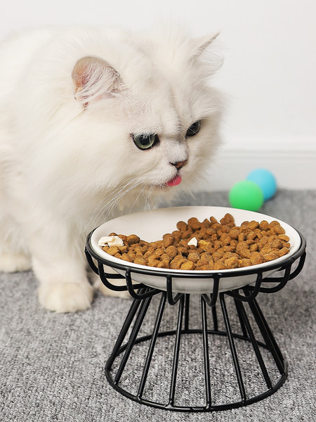 Κεραμικό μπολ για κατοικίδια με βάση