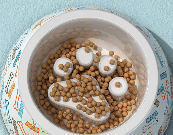 Bol din ceramică pentru hrană - pentru câini