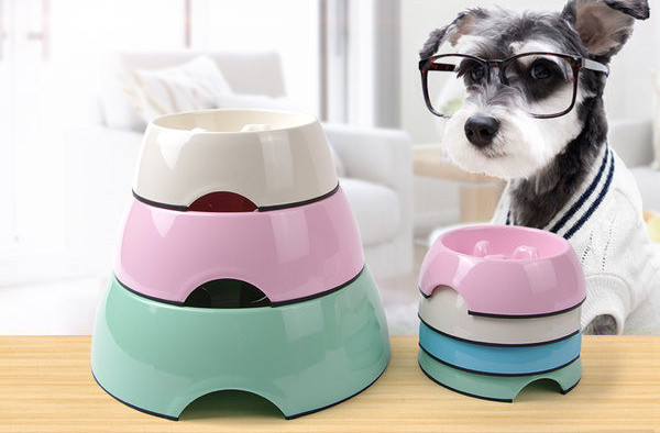 Πλαστικό στρογγυλό μπολ για αργή τροφοδοσία