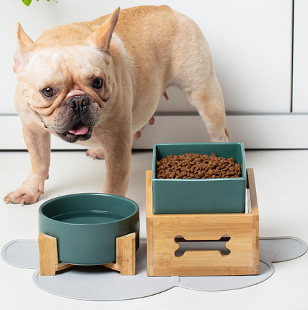 Κεραμικό μπολ για φαγητό ή νερό για σκύλους και γάτες