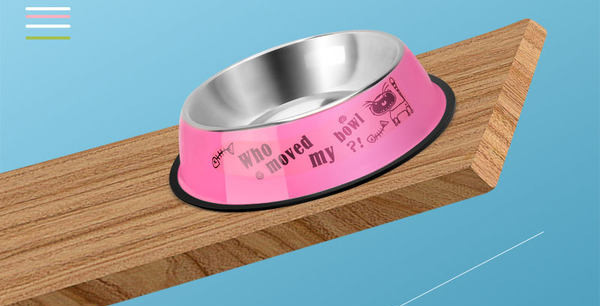 Bol rotund din oțel inoxidabil pentru hrana pentru câini