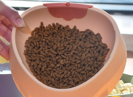 Πλαστικό μπολ σκύλου σε πολλά χρώματα